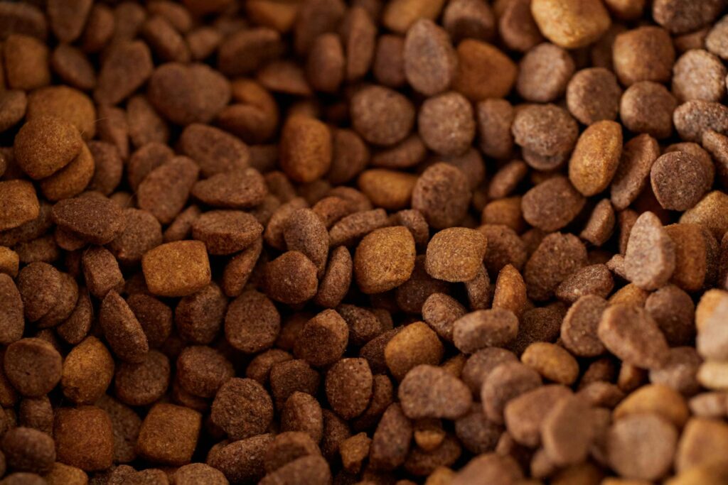 pet food research